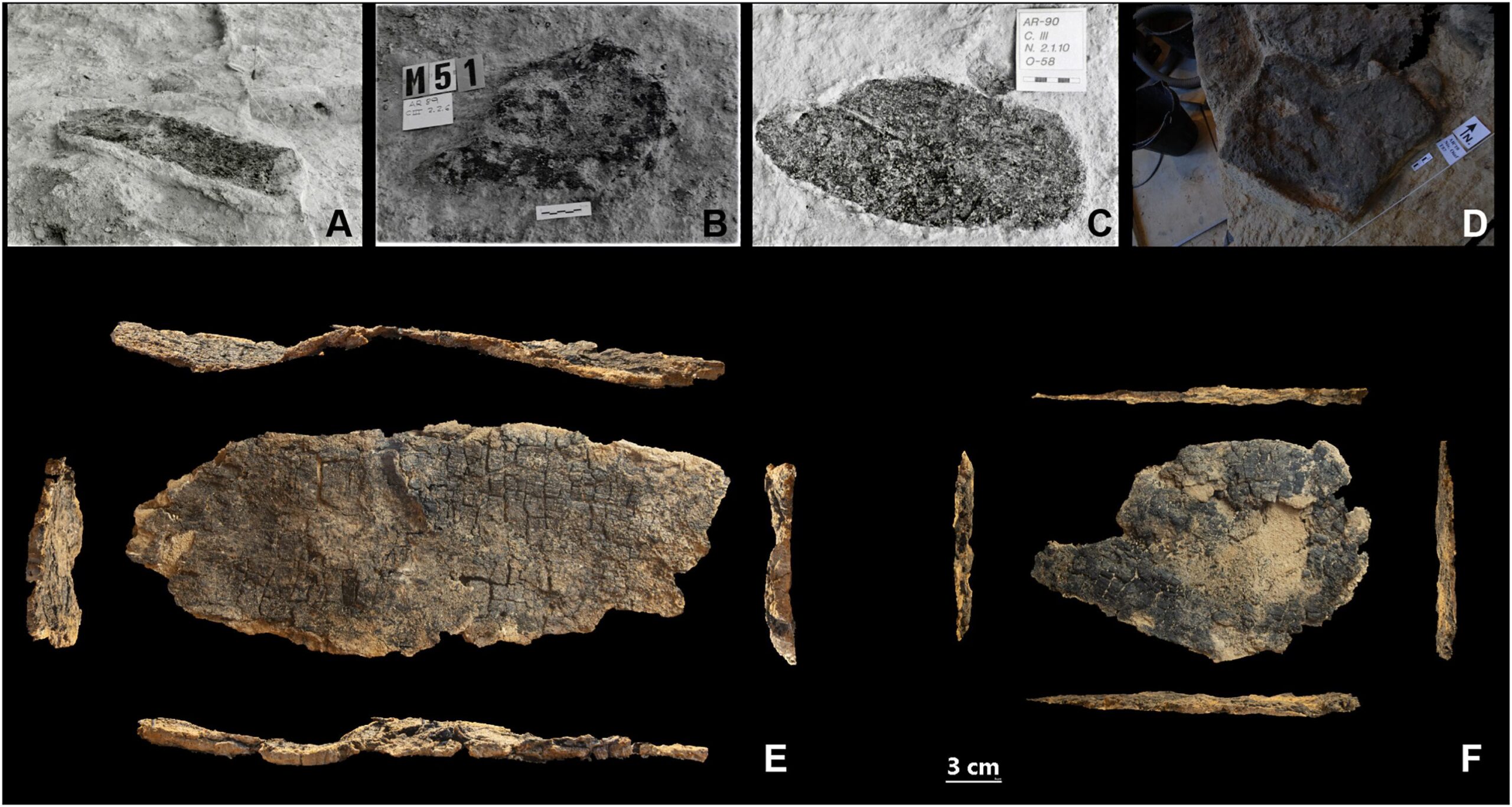 600 traces d'outils en bois de Néandertal datant d'il y a 60 000 ans découvertes : ce qu'elles révèlent