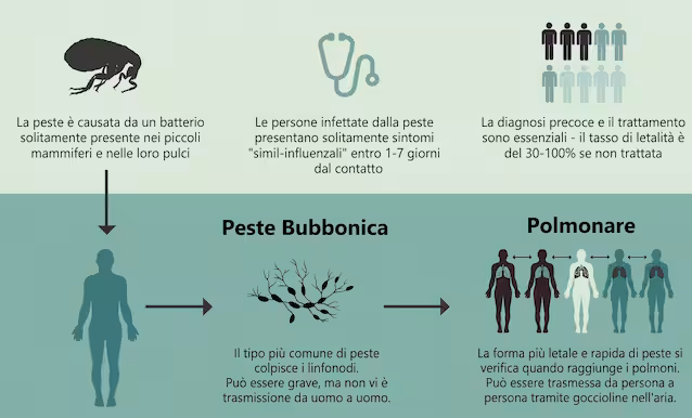 plan contre la peste