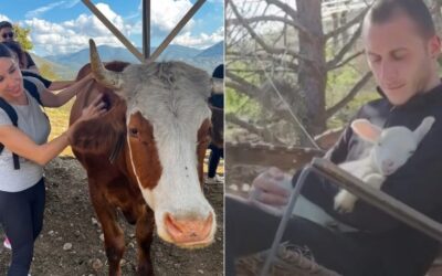 J&rsquo;ai fêté mon anniversaire dans un "refuge pour animaux" et tu devrais y aller aussi